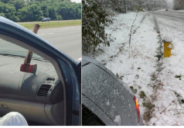 Zdroj : buzznick.com