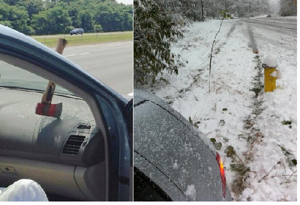 Zdroj : buzznick.com