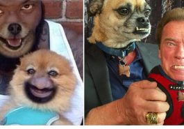 Zdroj : brightside.me