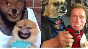 Zdroj : brightside.me