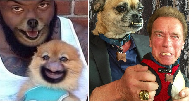 Zdroj : brightside.me