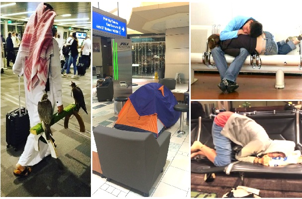 Zdroj : brightside.me