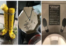 Zdroj : brightside.me