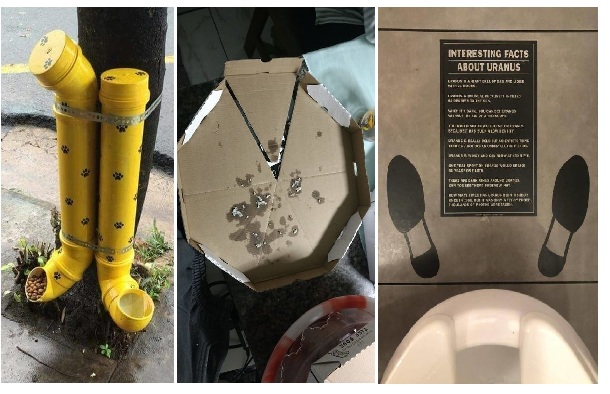 Zdroj : brightside.me