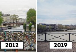 Zdroj : brightside.me