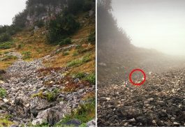 Zdroj : buzznick.com