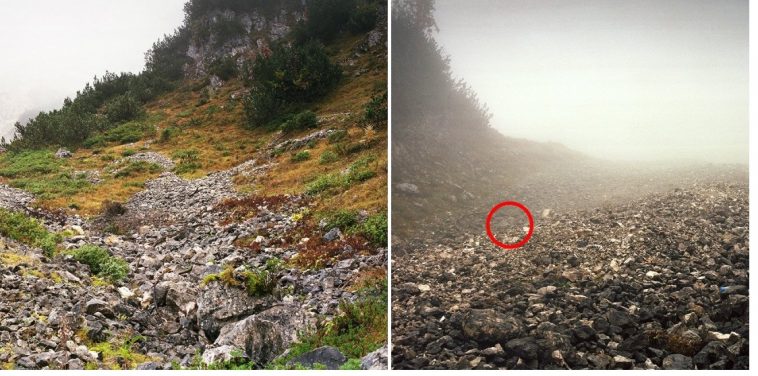 Zdroj : buzznick.com