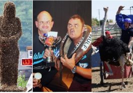 Zdroj : buzznick.com