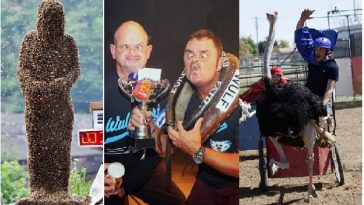 Zdroj : buzznick.com