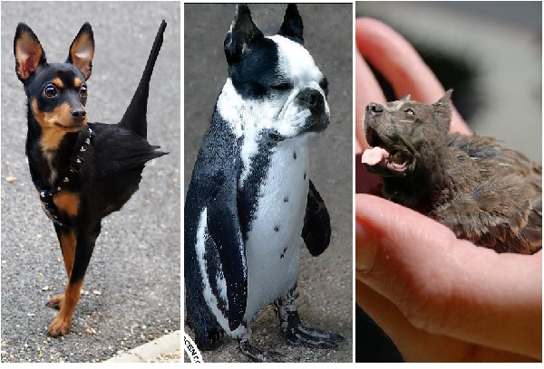 Zdroj : buzznick.com