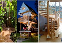 Zdroj : buzznick.com