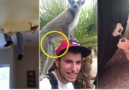 Zdroj : buzznick.com