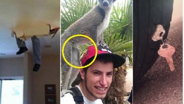 Zdroj : buzznick.com