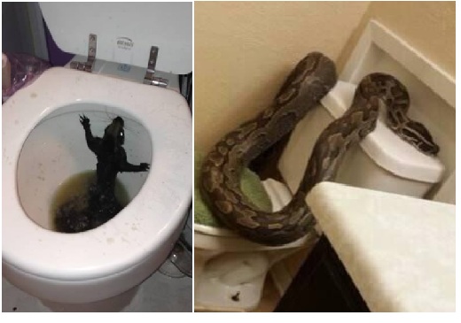 Zdroj : buzznick.com