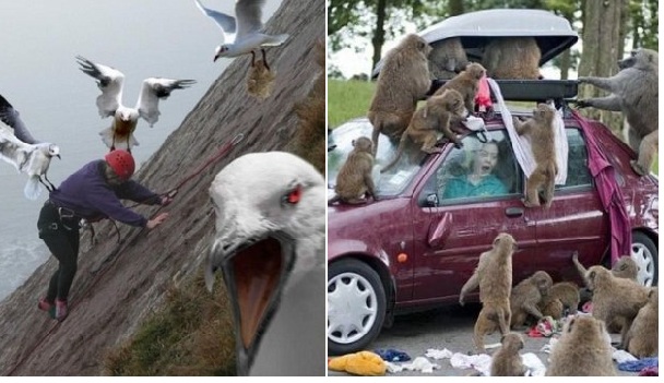 Zdroj : buzznick.com