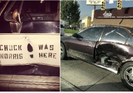 Zdroj : boredpanda.com