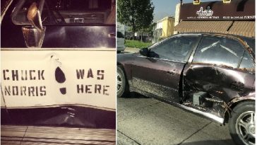 Zdroj : boredpanda.com