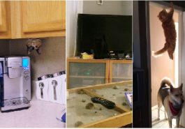 Zdroj : buzznick.com