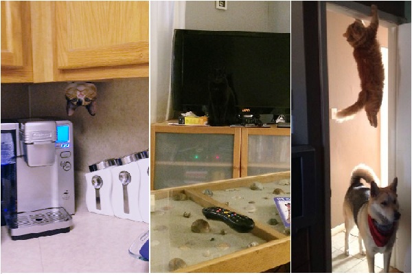 Zdroj : buzznick.com