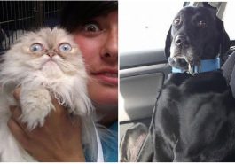 Zdroj : buzznick.com