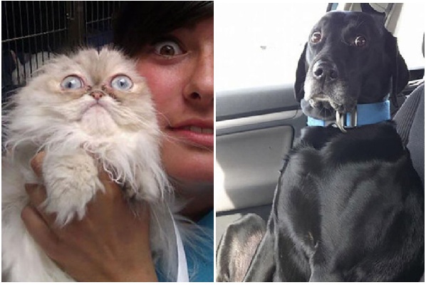 Zdroj : buzznick.com