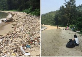 Zdroj : boredpanda.com