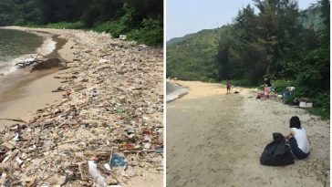 Zdroj : boredpanda.com