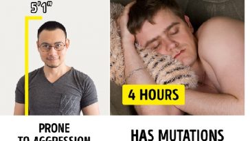 Zdroj : brightside.me