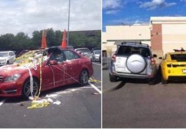 Zdroj : buzznick.com