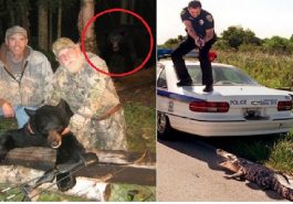 Zdroj : buzznick.com