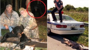 Zdroj : buzznick.com