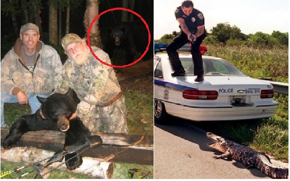 Zdroj : buzznick.com