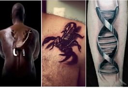 Zdroj : buzznick.com