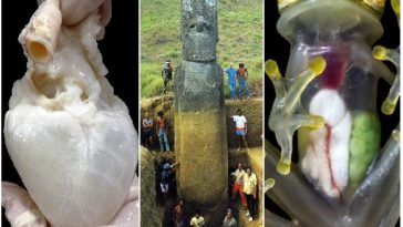 Zdroj : boredpanda.com