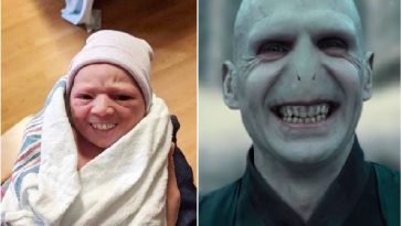 Zdroj : facebook.com/ Skulls-N-Things