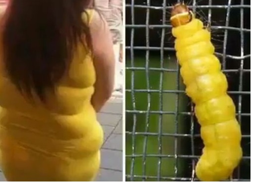 Zdroj : facebook.com/ Skulls-N-Things