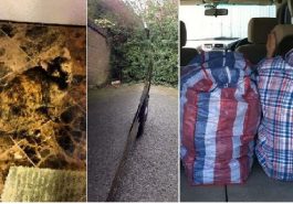 Zdroj : brightside.me