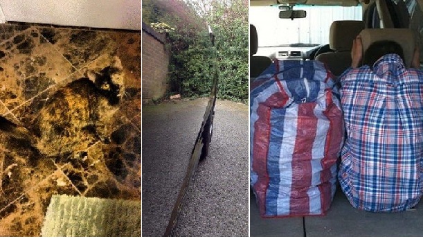 Zdroj : brightside.me