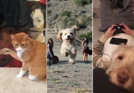 Zdroj : brightside.me