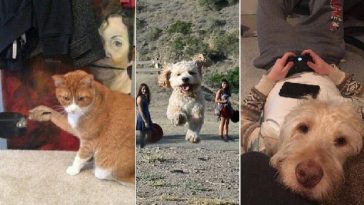 Zdroj : brightside.me