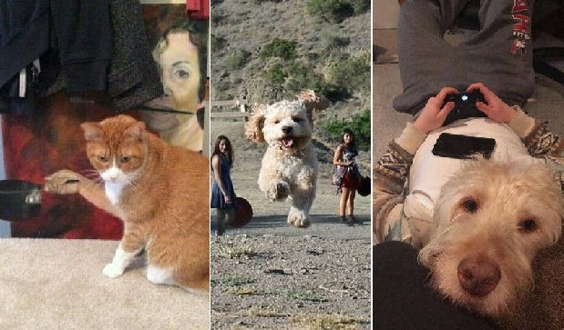 Zdroj : brightside.me