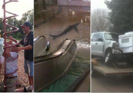 Zdroj : buzznick.com