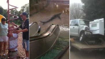 Zdroj : buzznick.com