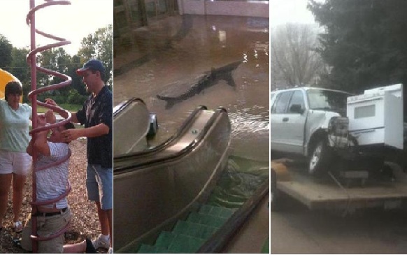 Zdroj : buzznick.com