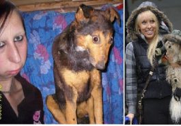 Zdroj : buzznick.com