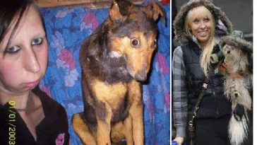 Zdroj : buzznick.com